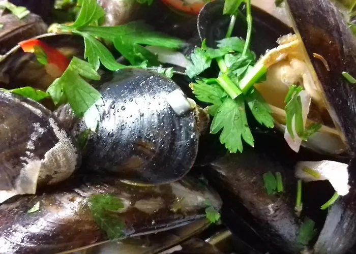 לינה וארוחת בוקר Gosciniec Solisko שצ'צ'ירק